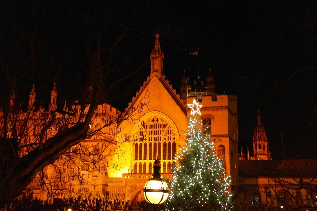 In Photos Christmas Trees In London And Walking The River Thames at