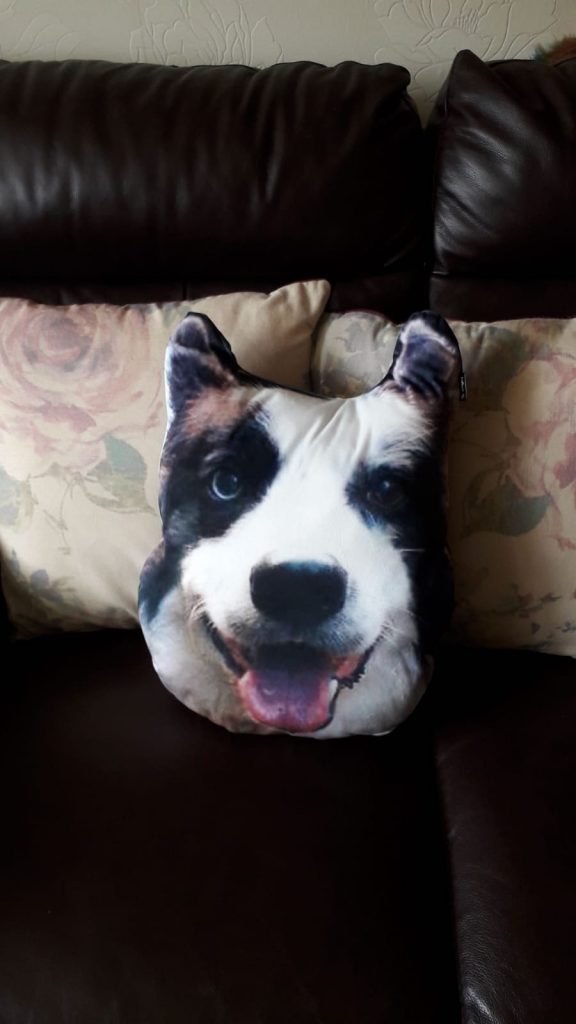 Dogsy Review - I Turned My Dog's Face Into a Personalised Pillow 2 Dogsy Review - I Turned My Dog's Face Into a Personalised Pillow 2