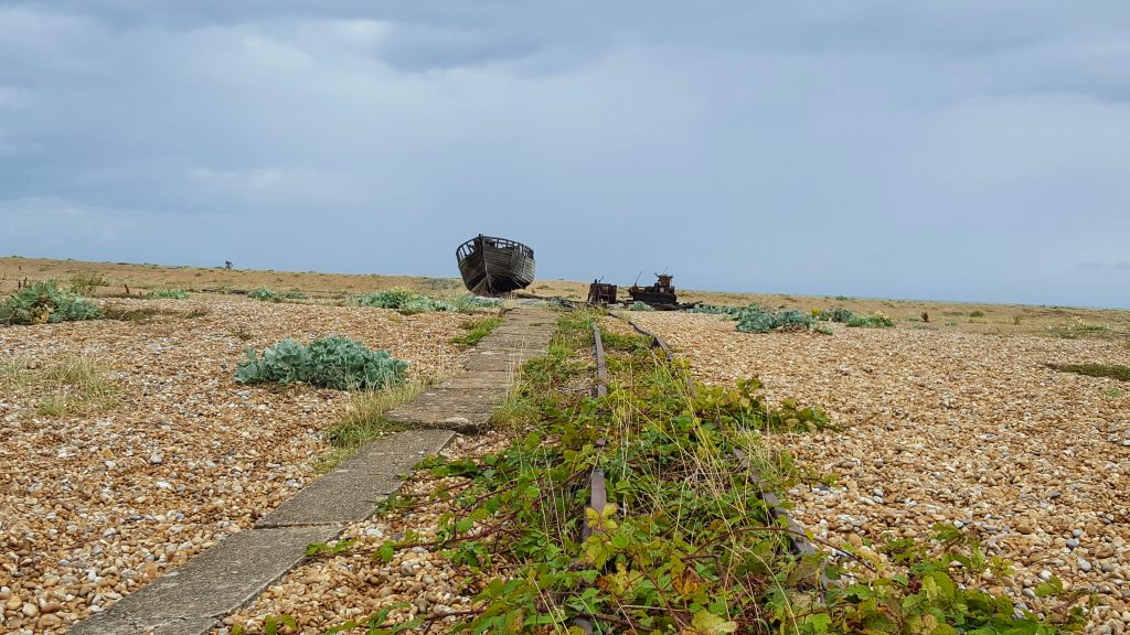 Things to do in Dungeness: Photo Essay 17 Things to do in Dungeness: Photo Essay 17