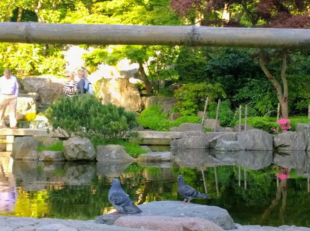 Kyoto Garden in Holland Park: London's Secret Japanese Garden (Gallery) 25 Kyoto Garden in Holland Park: London's Secret Japanese Garden (Gallery) 23