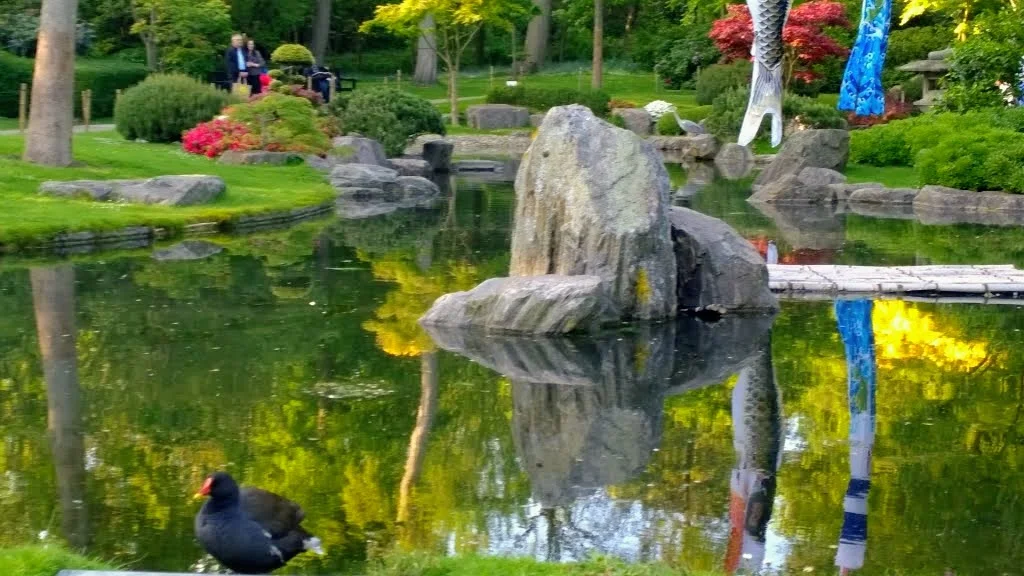 Kyoto Garden in Holland Park: London's Secret Japanese Garden (Gallery) 18 Kyoto Garden in Holland Park: London's Secret Japanese Garden (Gallery) 16