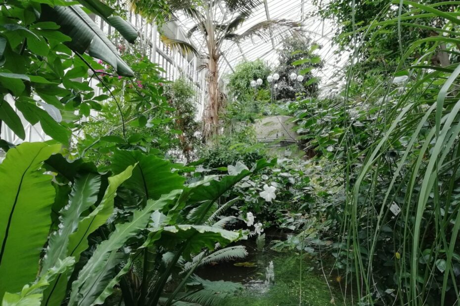 Inside Barbican Conservatory