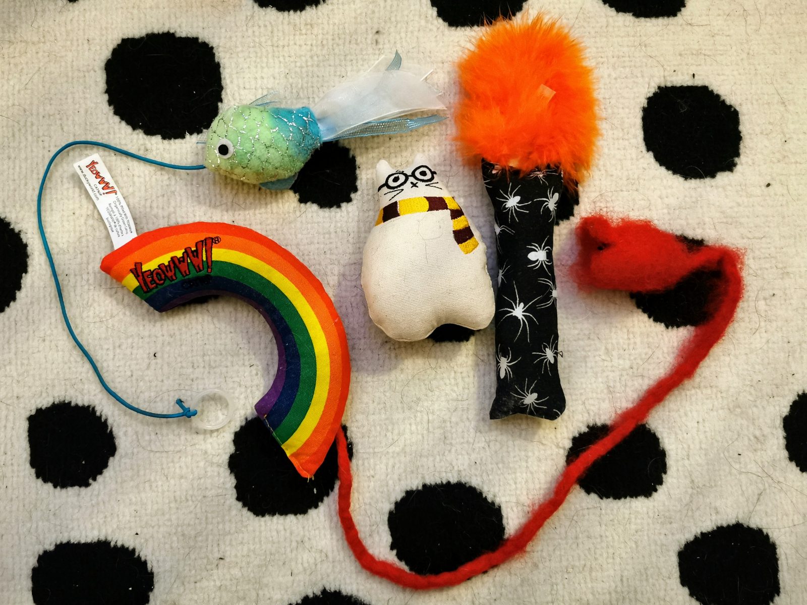 Gus & Bella Box Review The Best Cat Box Subscription? Elite Travel Blog