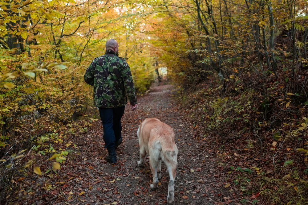 Top 10 Dog Parks In Canada Elite Travel Blog