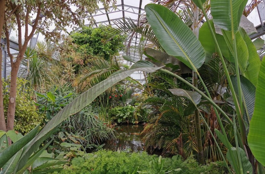 Hall Place & Gardens, Dartford Review: Why It’s Worth Visiting (Photos)