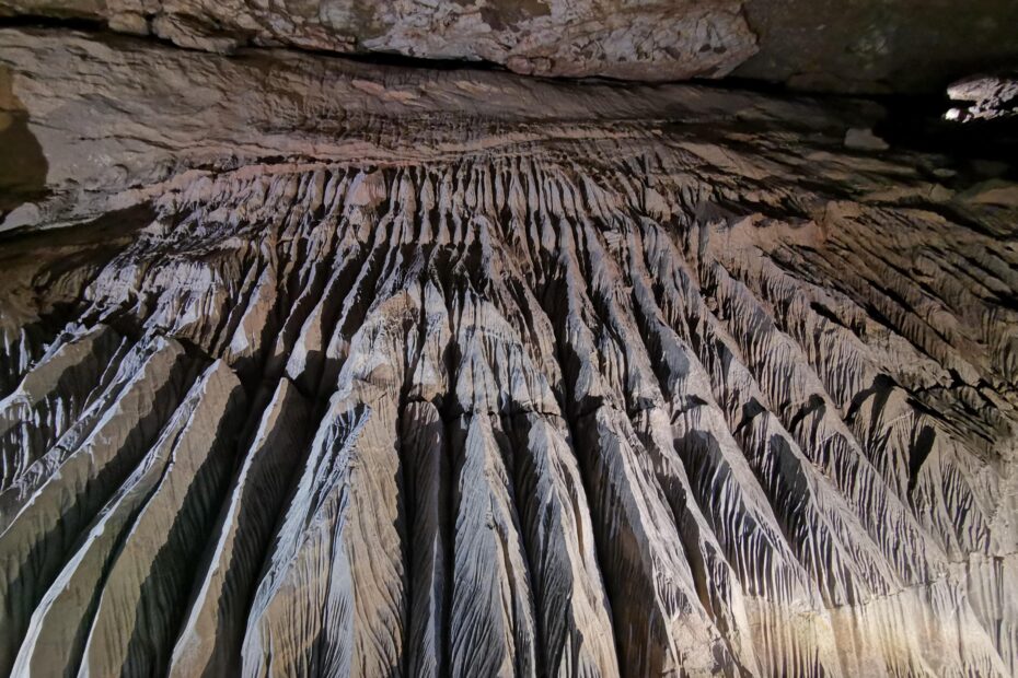 wookey hole review